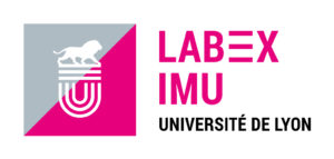 logo LABEX IMU